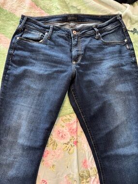 Silver Jeans Dark Blue Skinny Women's Jeans